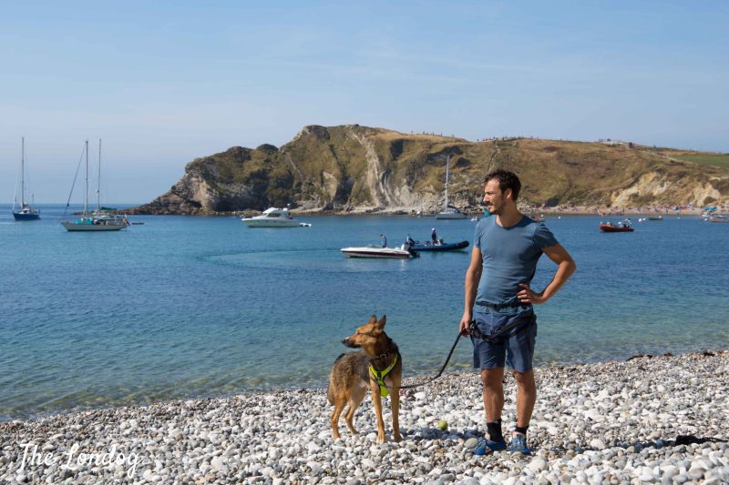 Best Dog Friendly Beaches Dorset