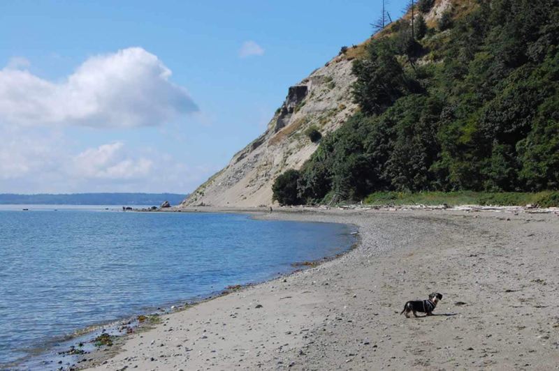 Best Dog Friendly Beaches East Coast