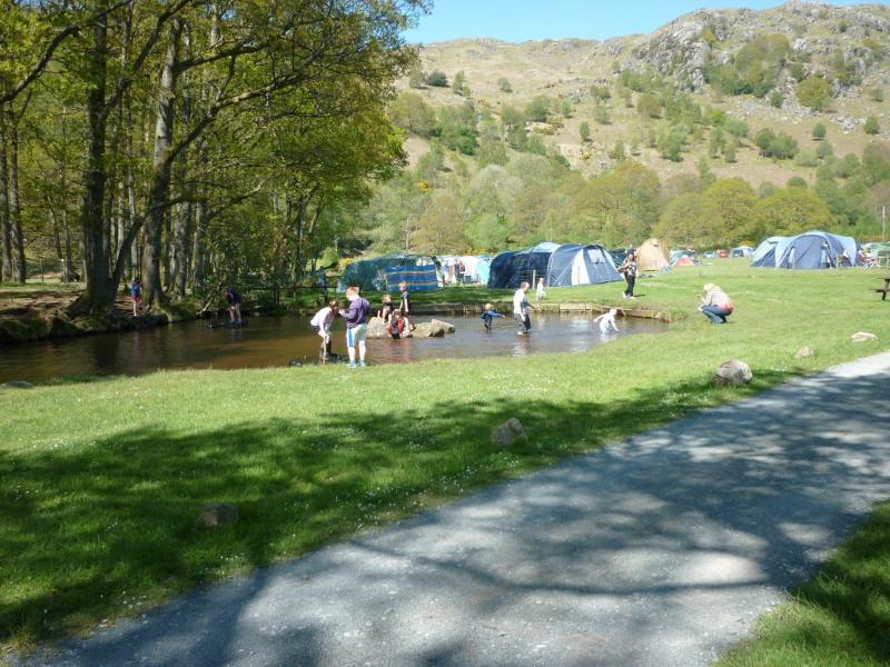 Best Dog Friendly Campsites Uk