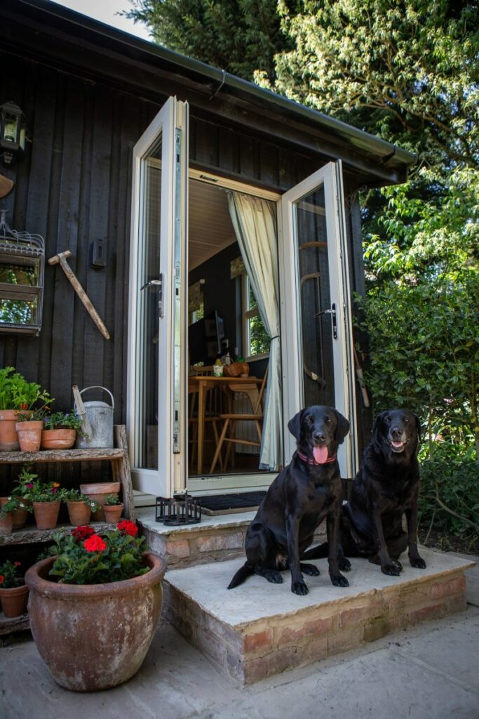 Best Dog Friendly Cottages Uk