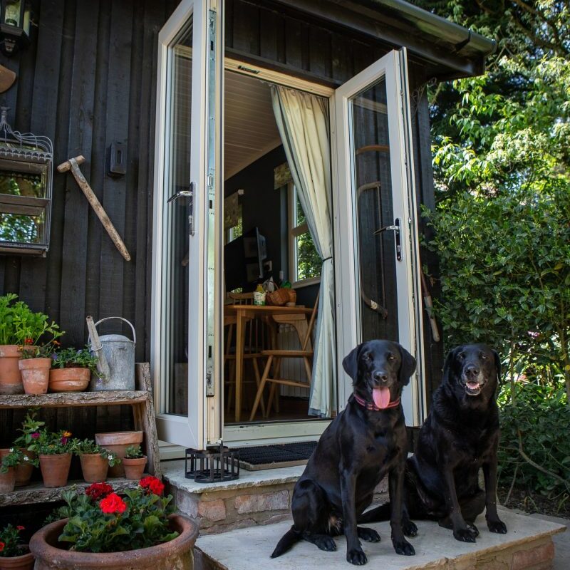 Best Dog Friendly Cottages Uk