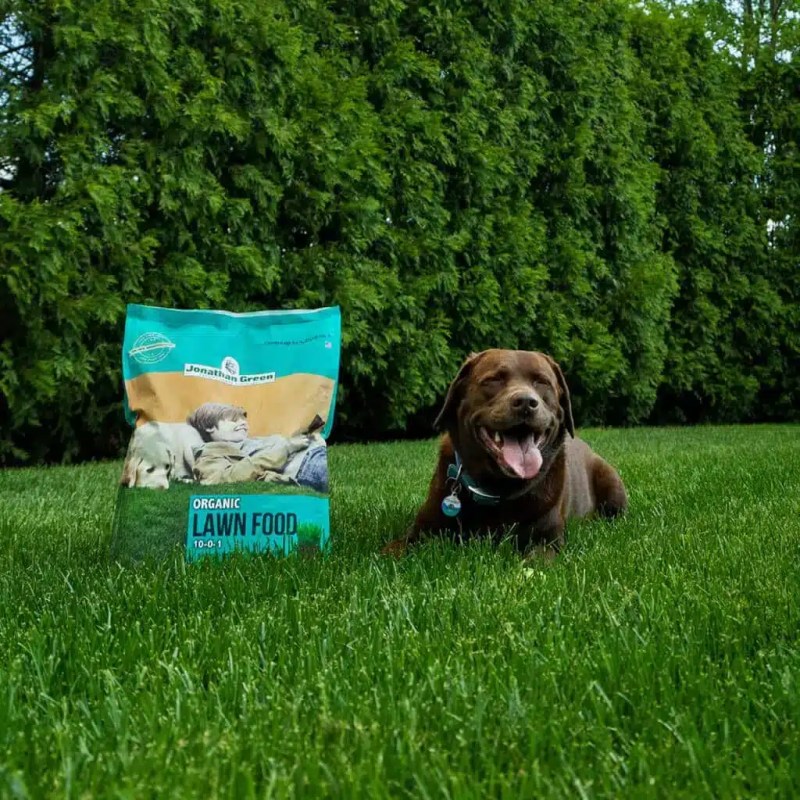 Best Dog Friendly Lawn Fertilizer