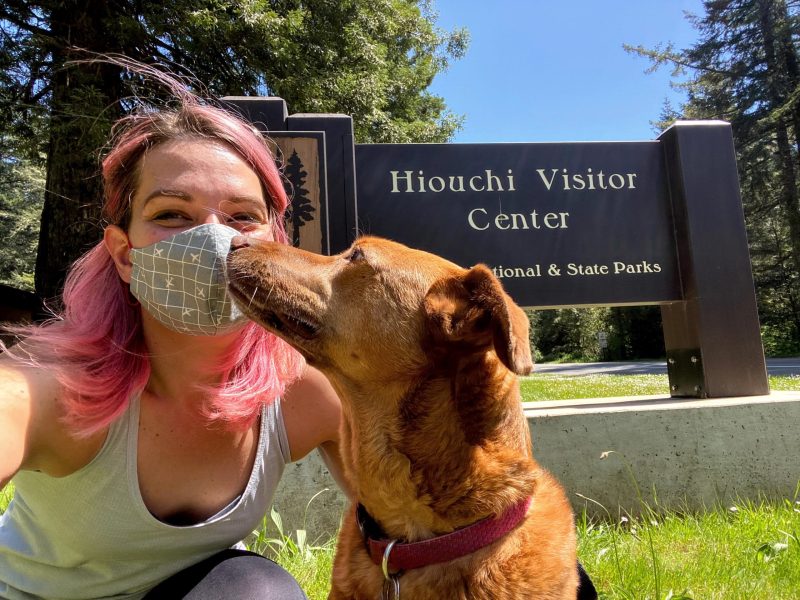 Best Dog Friendly National Parks