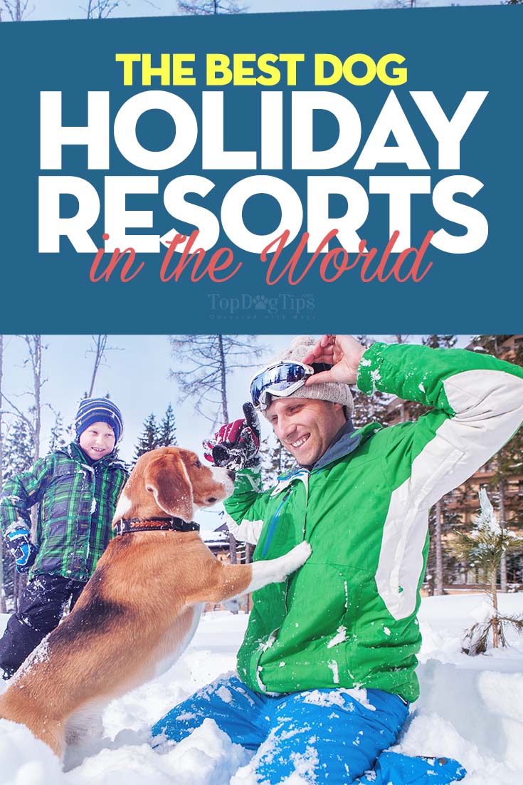 Best Dog Friendly Resorts Near Me