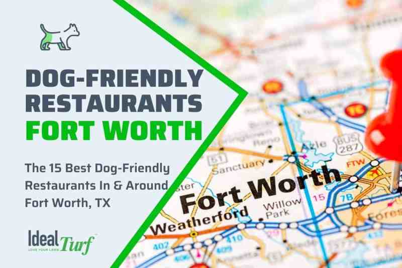 Best Dog Friendly Restaurants Houston