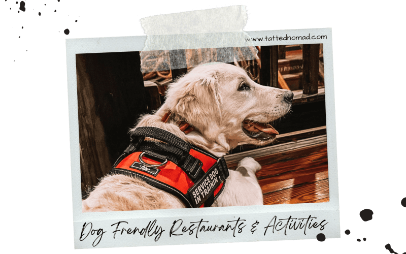 Best Dog Friendly Restaurants Nyc