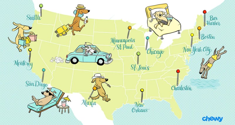 Best Pet Friendly Resorts In Usa