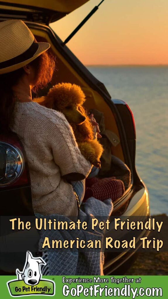 Best Pet Friendly Travel Trailers