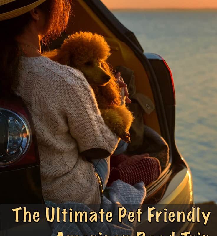 Best Pet Friendly Travel Trailers