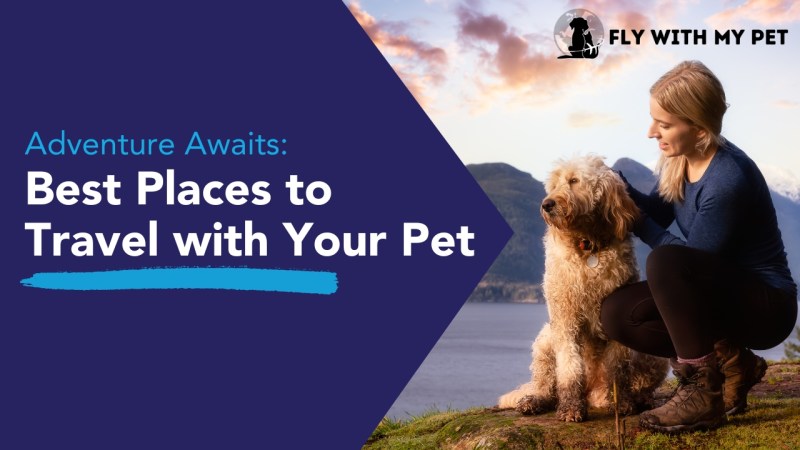 Best Vacations For You And Your Dog