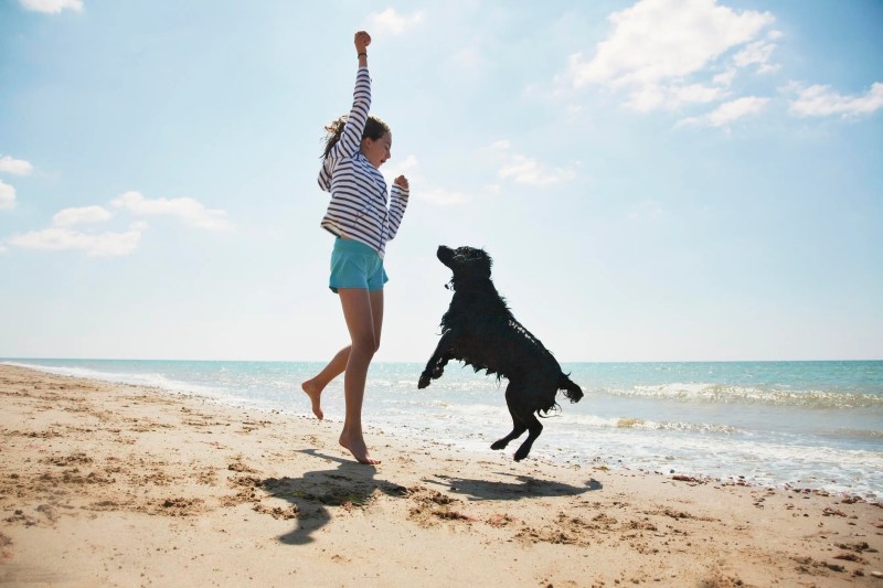 Best Vacations With Dogs