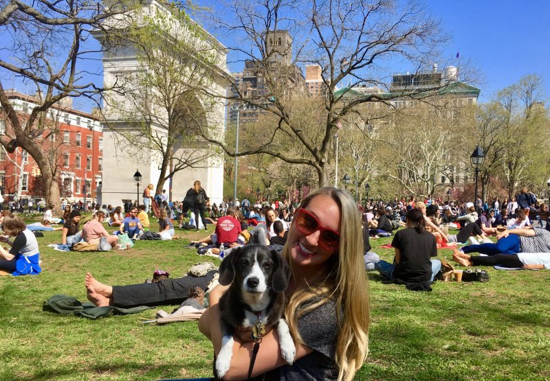 Day Trips With Dogs From Nyc