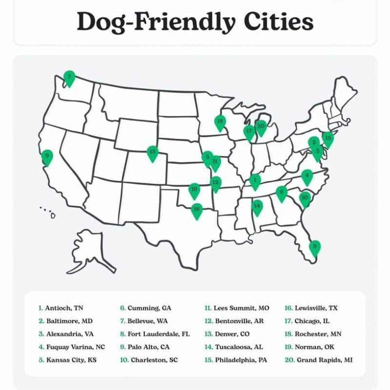 Dog Friendly Alexandria Va