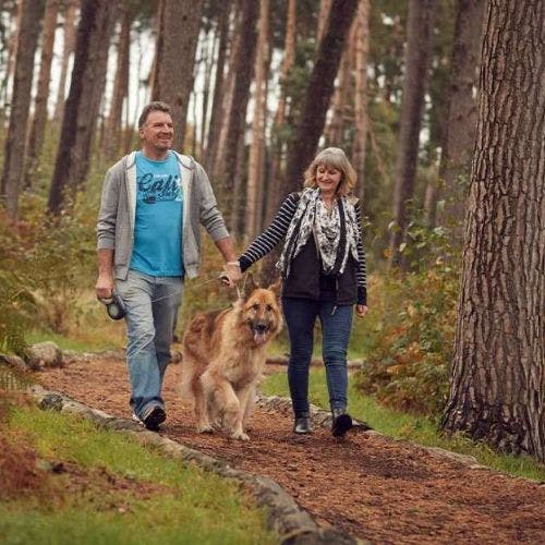 Dog Friendly Forest Holidays