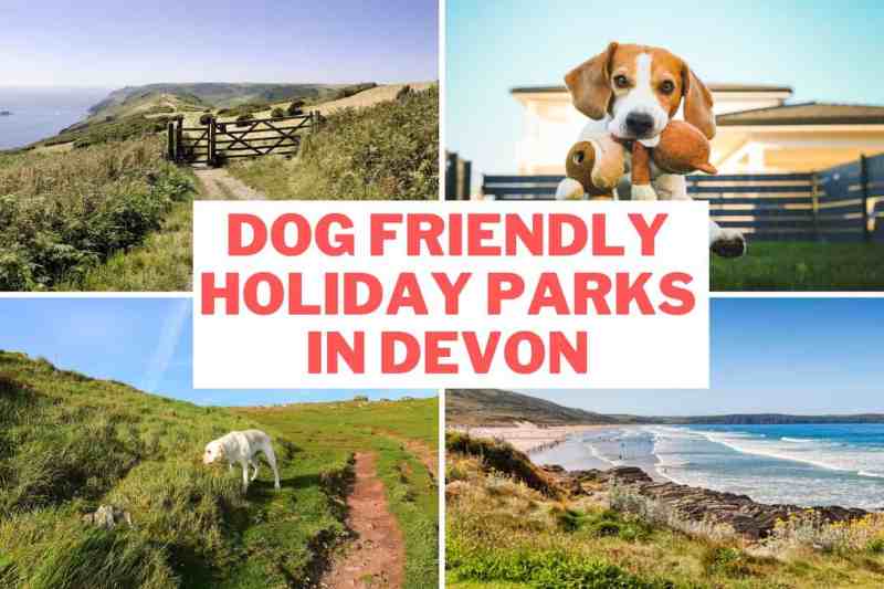 Dog Friendly Holiday Parks Near Me