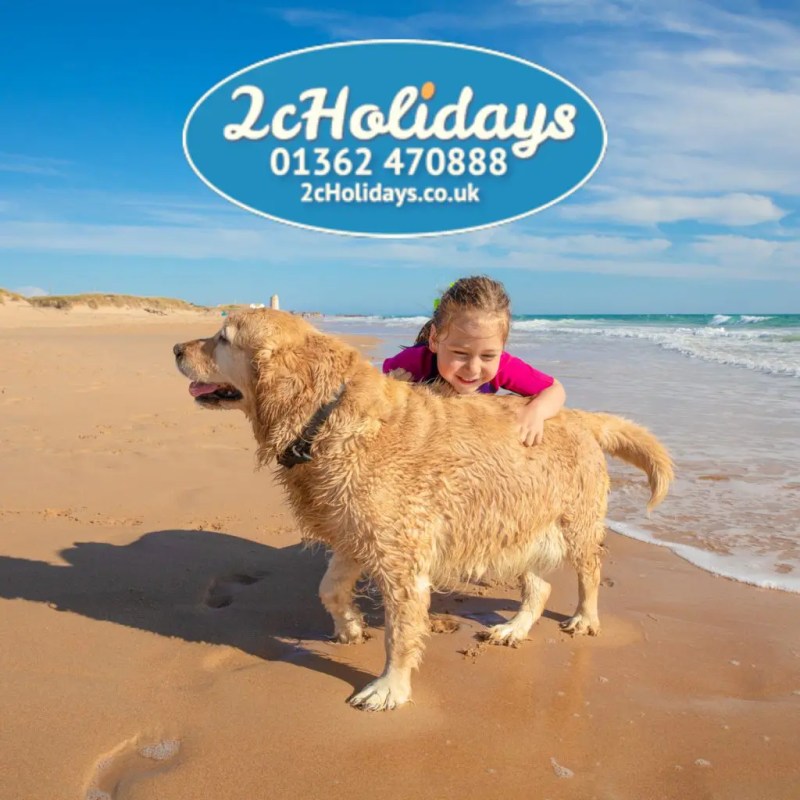 Dog Friendly Holidays Last Minute Deals