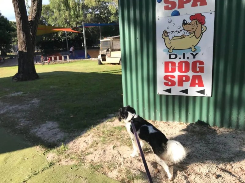 Dog Friendly Holidays Wa