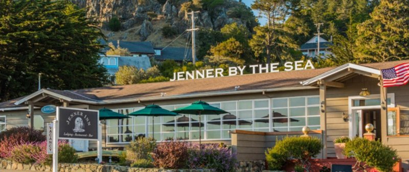 Dog Friendly Hotel Jenner Ca