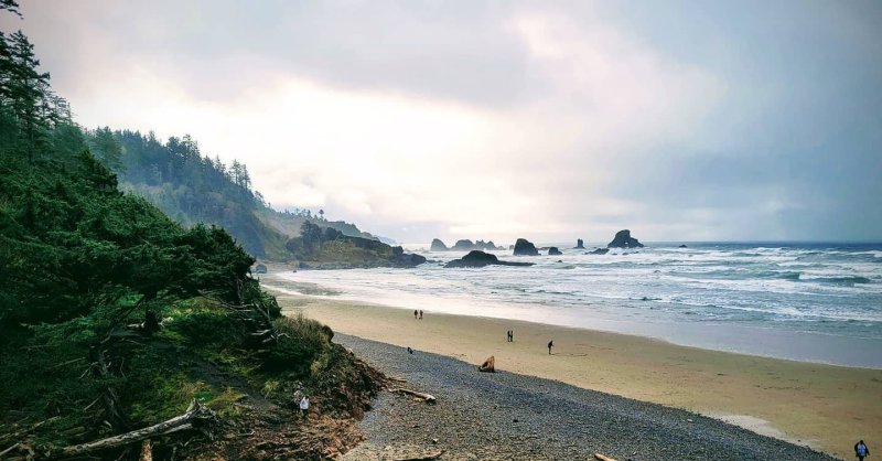 Dog Friendly Lodging Oregon Coast