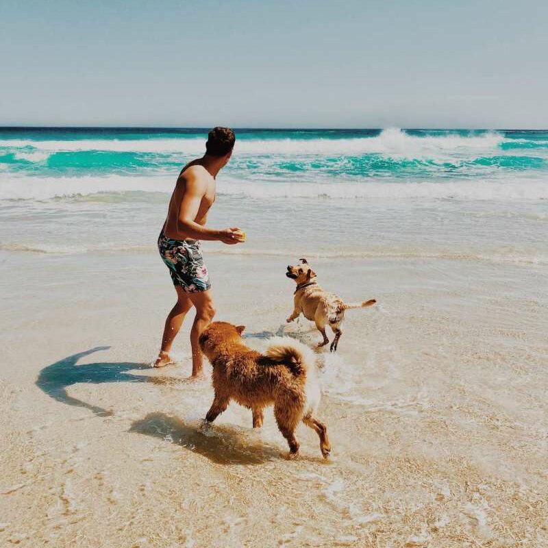 Dog Friendly Vacation Rentals