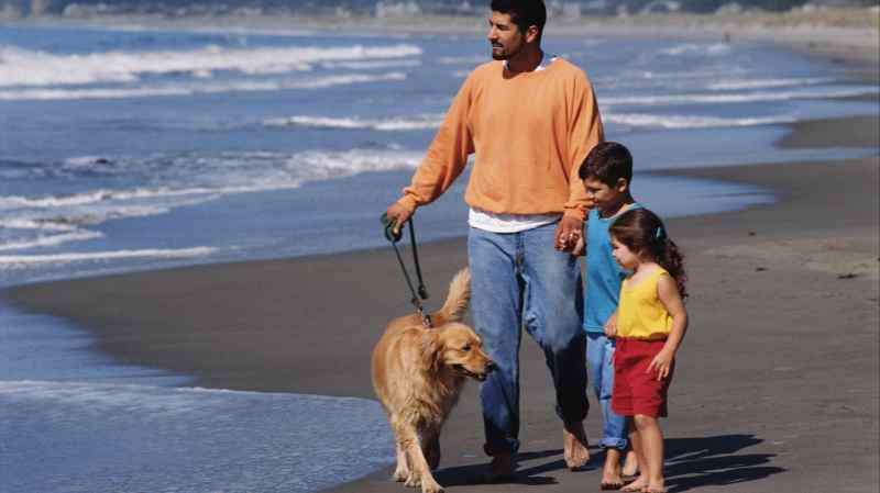 Dog Friendly Vacations Canada