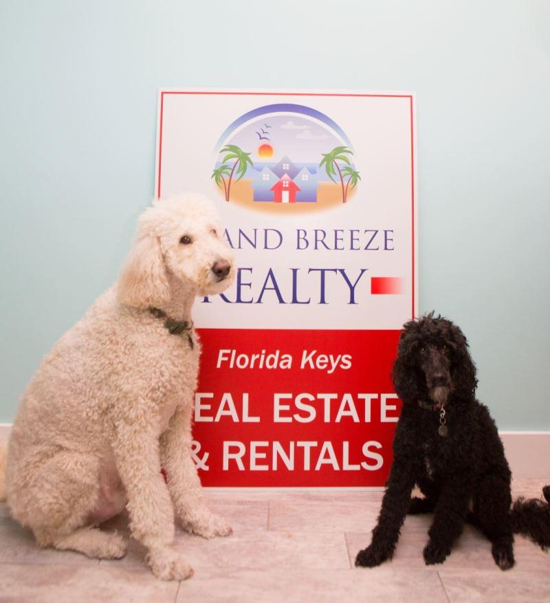 Dog Friendly Vacations Florida