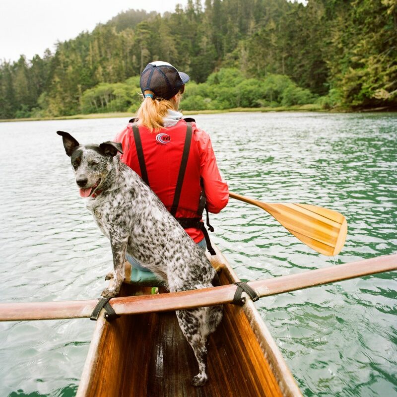 Dog Friendly Vacations In The Midwest