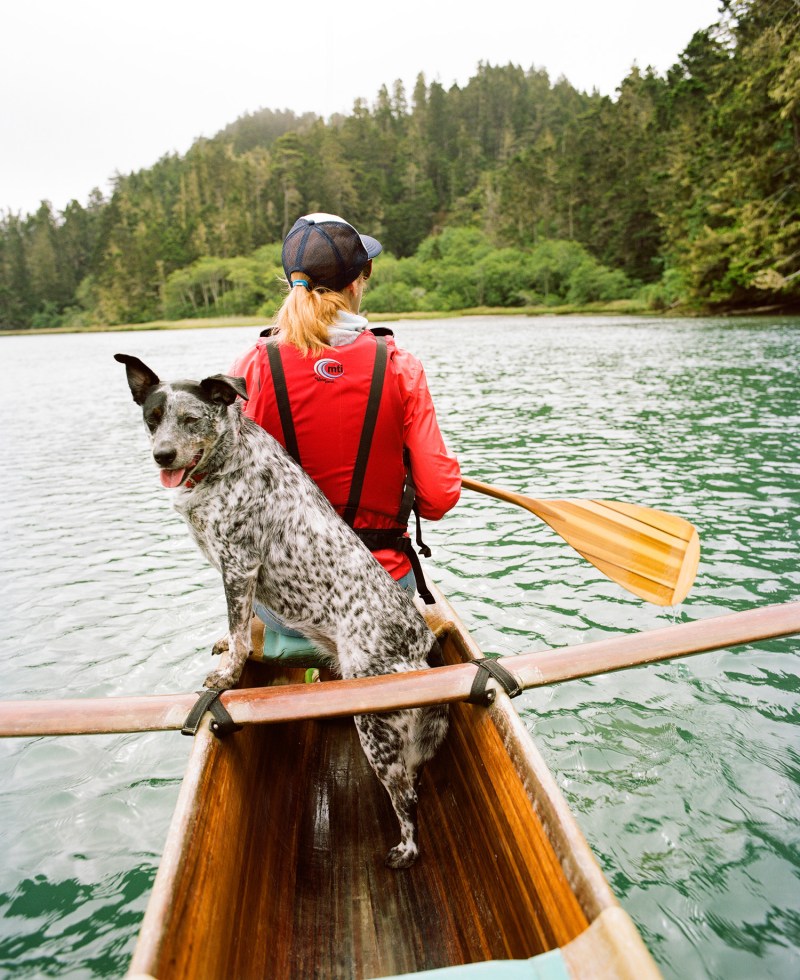 Dog Friendly Vacations In The Midwest