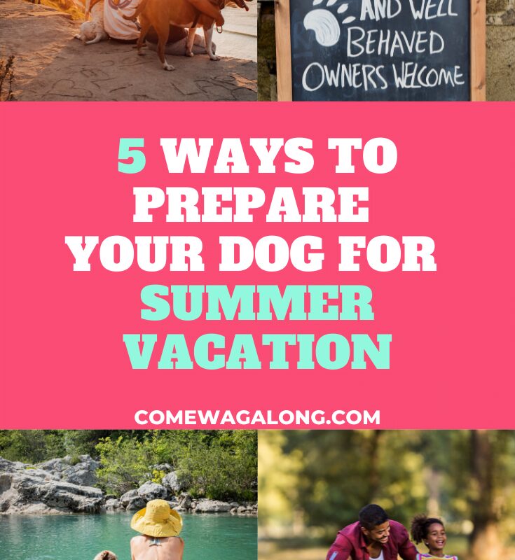 Family Vacations With Dogs