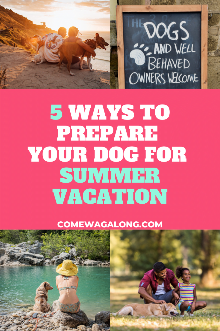 Family Vacations With Dogs