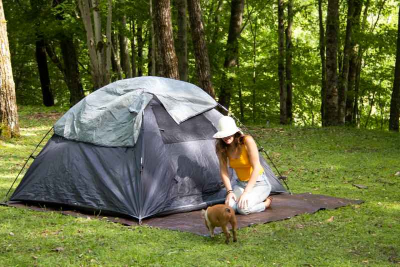 Good Dog Vacations Poconos