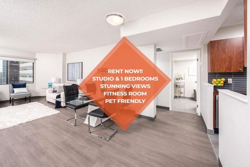 One Bedroom Apartment Pet Friendly Near Me