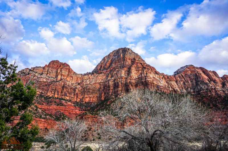 Pet Friendly Lodging Zion National Park