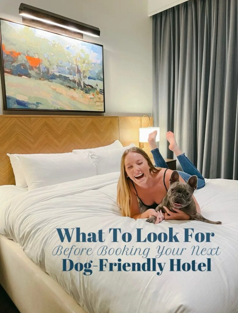 Places To Stay Near Me Dog Friendly