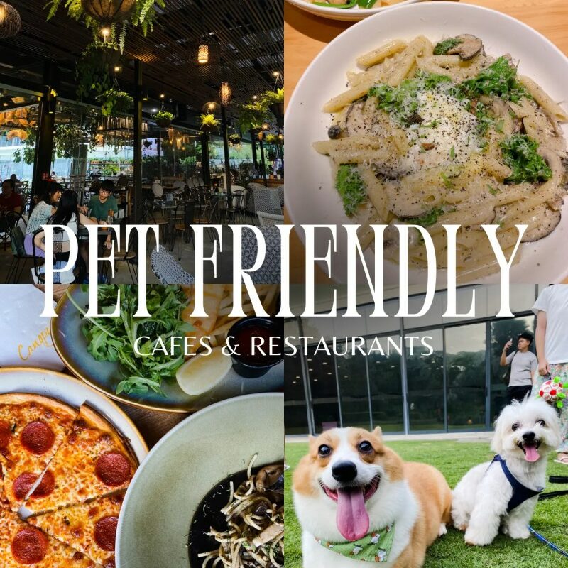 Restaurants With Dog Friendly Patios Near Me