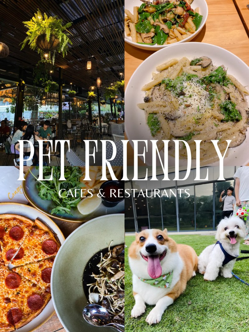 Restaurants With Dog Friendly Patios Near Me