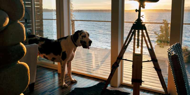 Vacation Rentals Dog Friendly Near Me