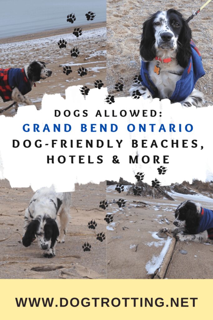 Vacation With Your Dog Ontario