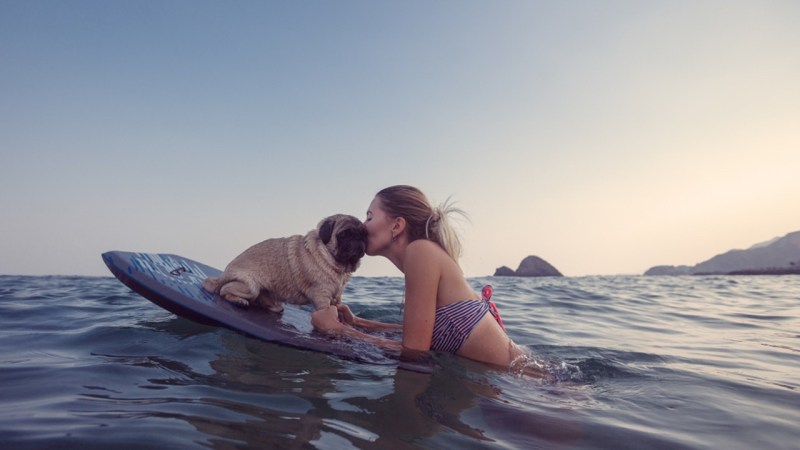 Vacations That Are Pet Friendly