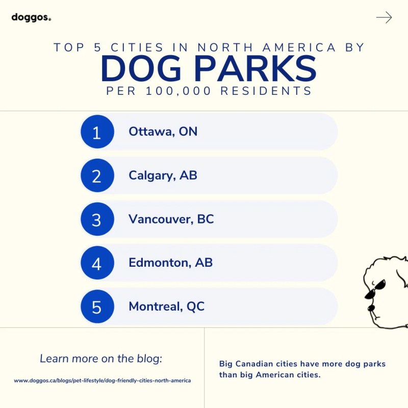 Best Dog Friendly Cities