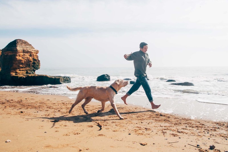 Best Dog Friendly Destinations