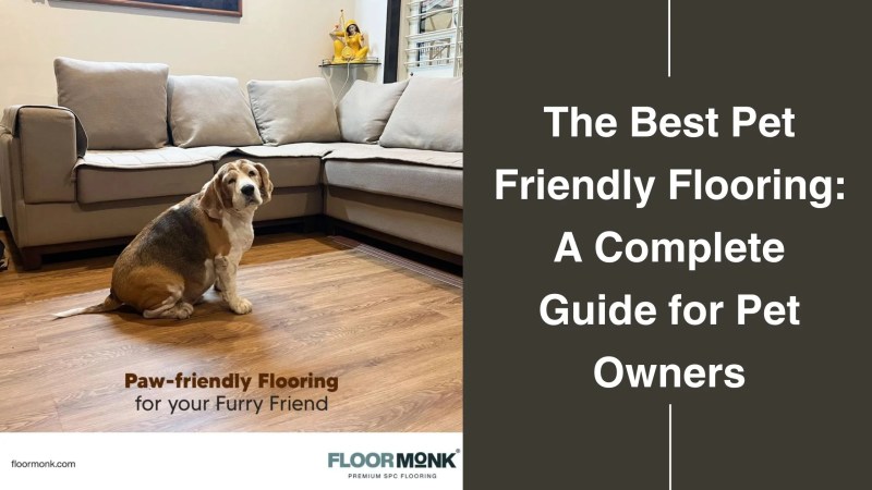 Best Dog Friendly Flooring