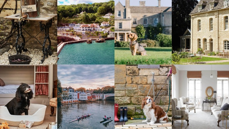 Best Dog Friendly Hotels Scotland