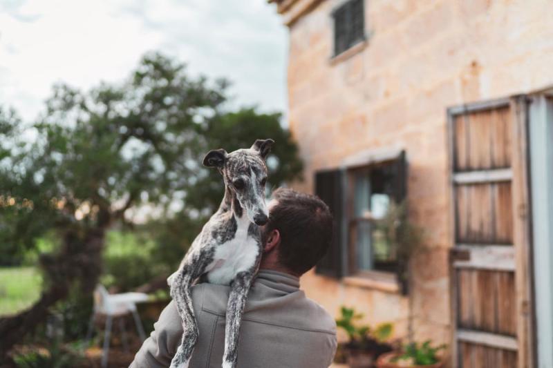 Best Dog Friendly Hotels York