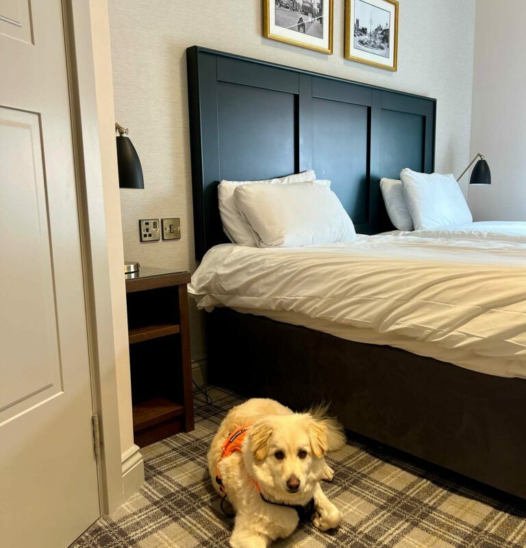 Best Dog Friendly Hotels Yorkshire