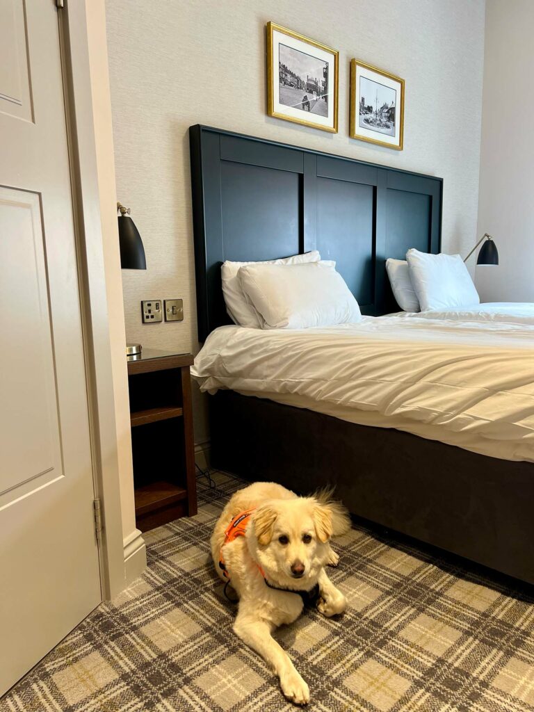 Best Dog Friendly Hotels Yorkshire