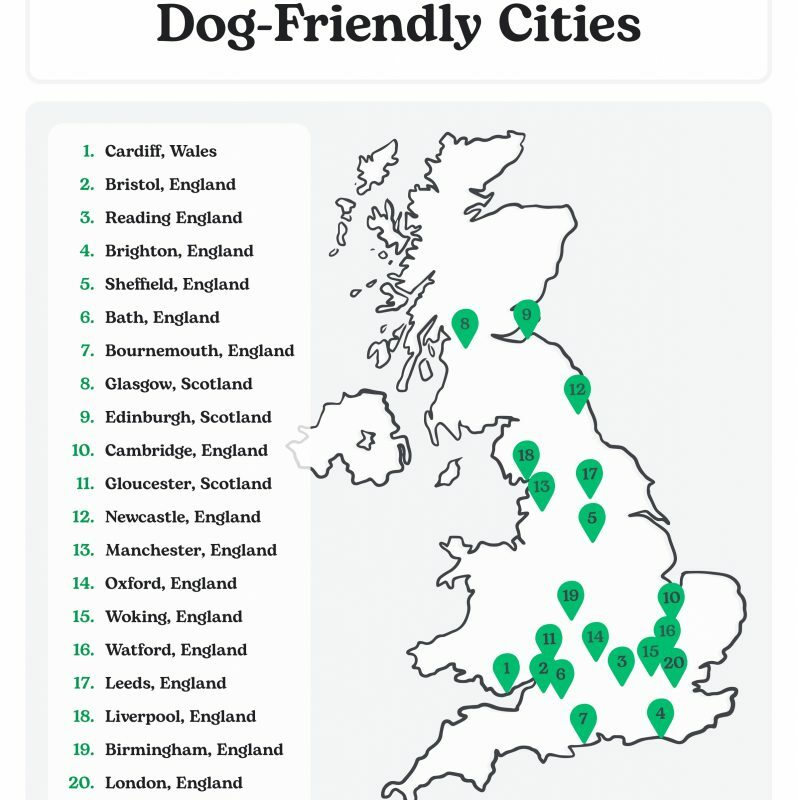 Best Dog Friendly Towns Near Me