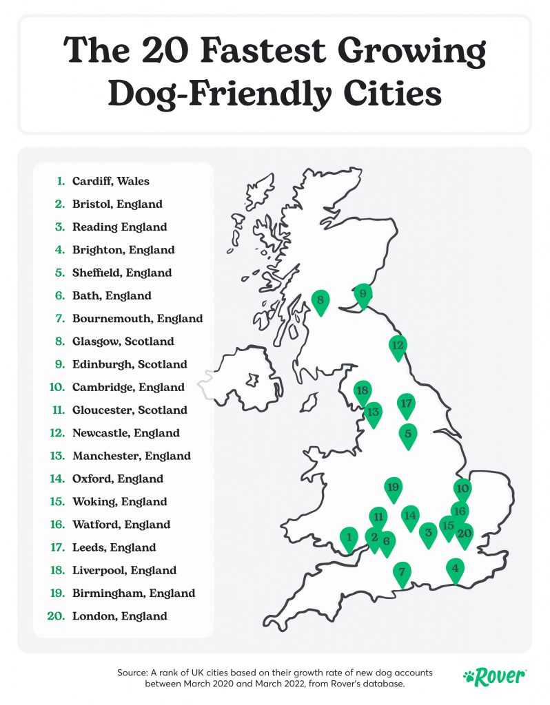 Best Dog Friendly Towns Near Me