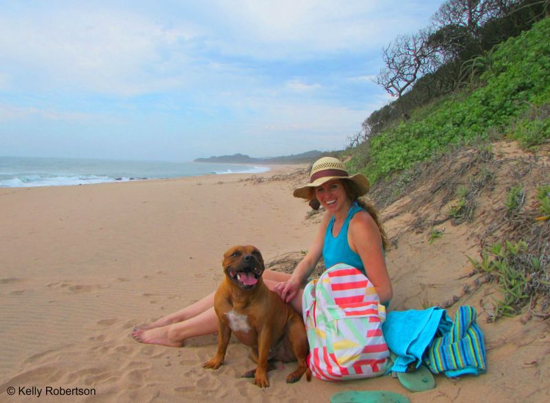 Best Dog Friendly Vacations On The East Coast