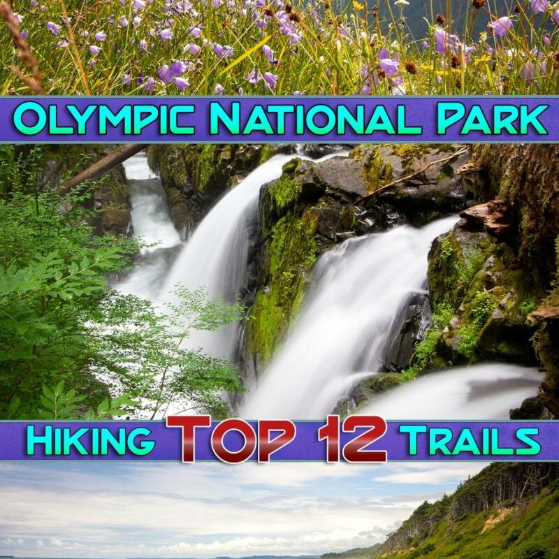 Best Easy Day Hikes Olympic National Park